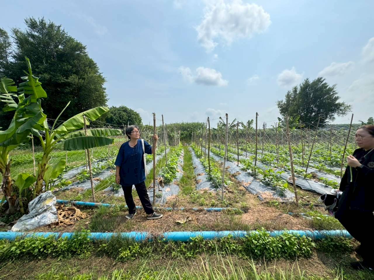 title - ส.ป.ก. ร่วมกับ TICA และ GIZ ลงพื้นที่โครงการนำร่องระบบสูบน้ำพลังงานแสงอาทิตย์เพื่อการเกษตรที่ยั่งยืนในเขตปฏิรูปที่ดิน ณ แปลงพื้นที่ คทช. จังหวัดชลบุรี